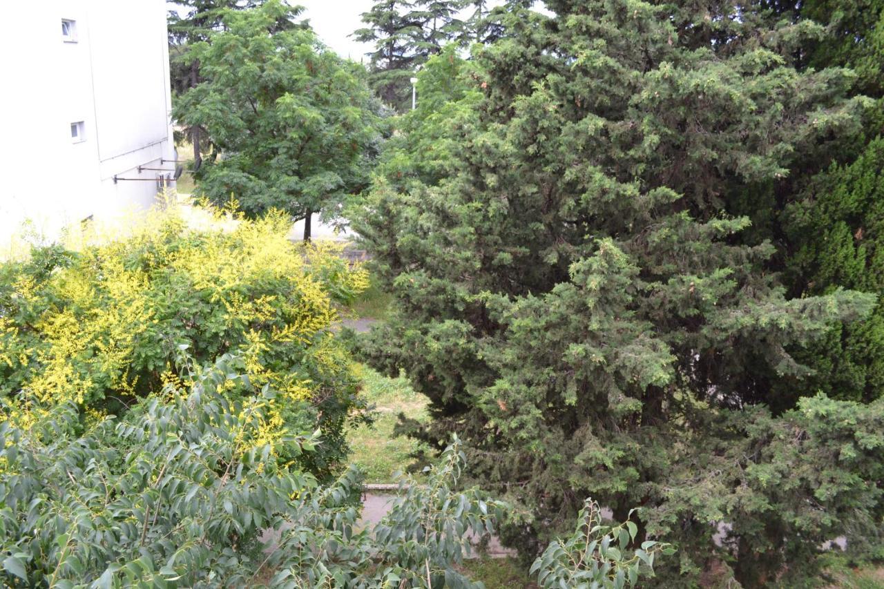 Good Vibes Apartment Zadar Exterior photo